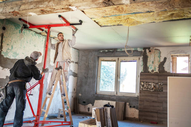 Best Wall Insulation Contractor  in Holstein, IA