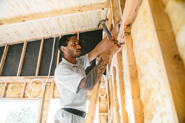 Best Residential Insulation Services  in Holstein, IA