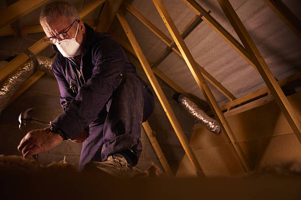 Professional Insulation Contractor in Holstein, IA