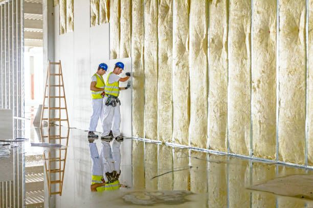 Best Spray Foam Insulation  in Holstein, IA